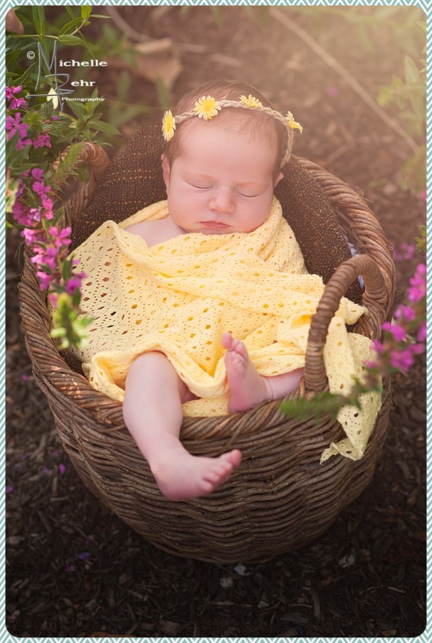 Outdoor Newborn session, Huntington NY