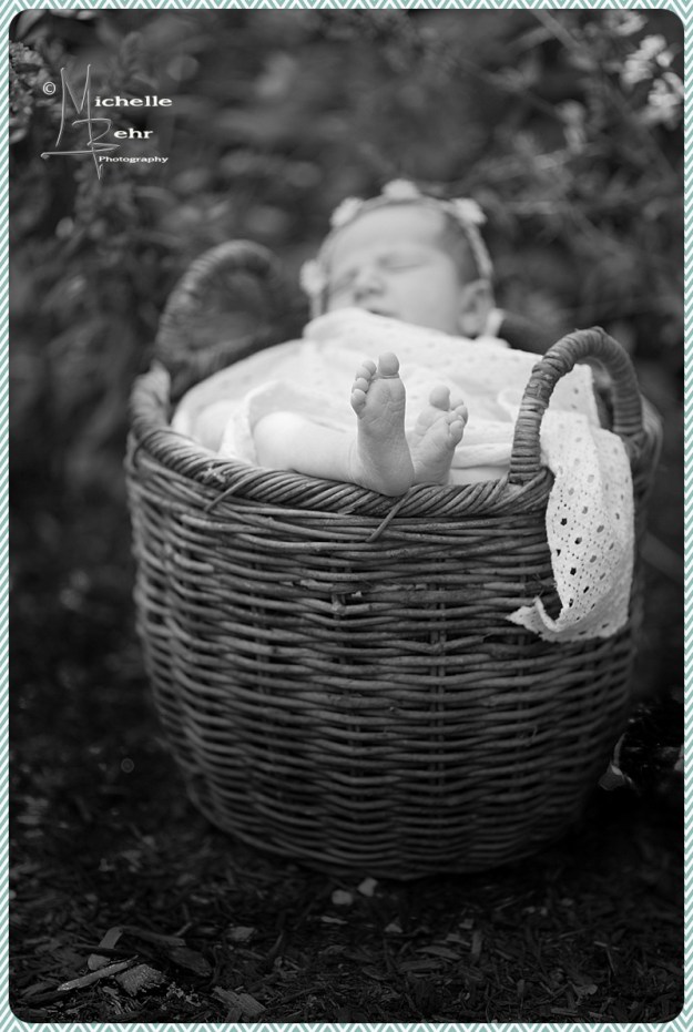 Outdoor Newborn session, Huntington NY