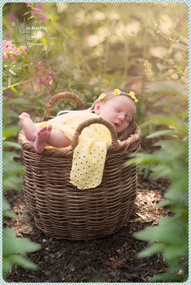 Outdoor Newborn session, Huntington NY