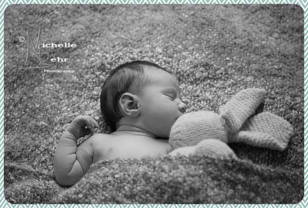 Outdoor Newborn session, Huntington NY