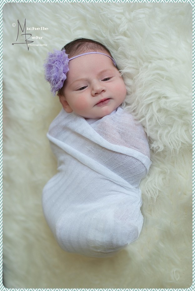 Outdoor Newborn session, Huntington NY
