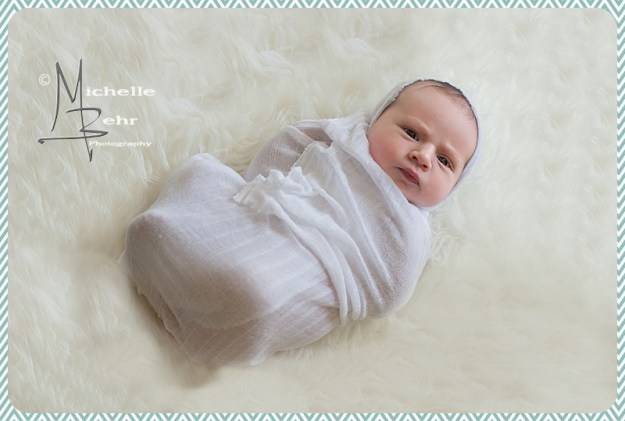 Outdoor Newborn session, Huntington NY